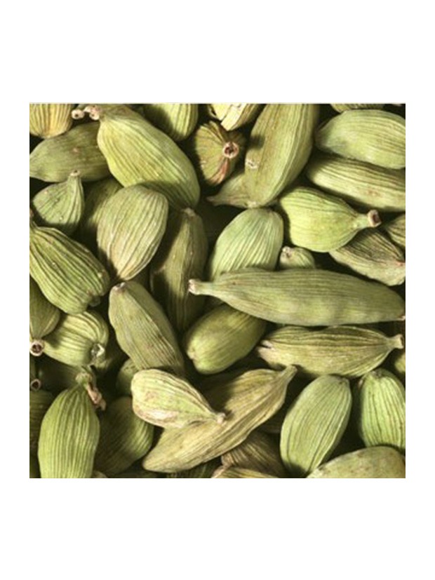 Recensione Cardamomo
