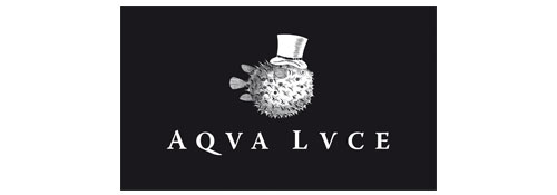 Aqua-Lvce-Gin-logo