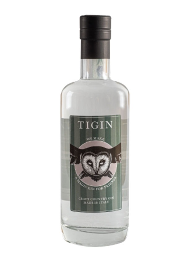Recensione TiGin