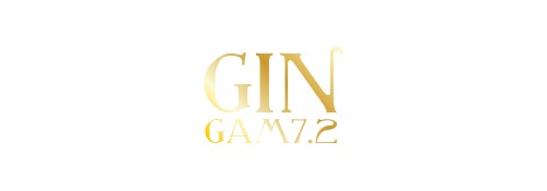modello logo gin.it